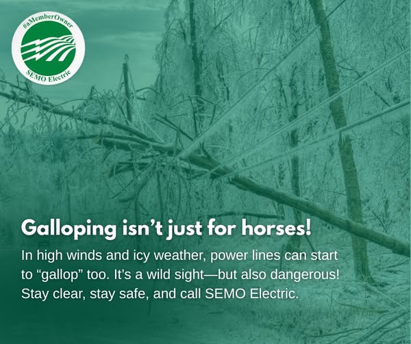 Galloping isn't just for horses!