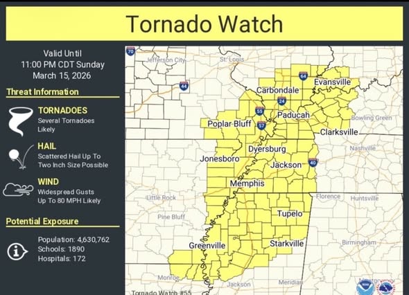 March 15 2026 Storm